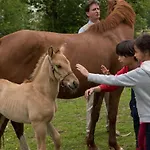 Flottante Avec Terrasse Pour 4 Pers. A - Api-1-52-1739 *