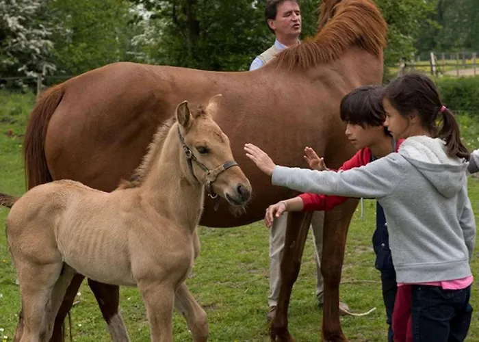 Flottante Avec Terrasse Pour 4 Pers. A - Api-1-52-1739 *
