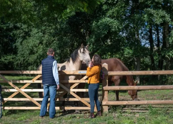 Flottante Avec Terrasse Pour 4 Pers. A - Api-1-52-1739 Campsite